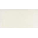 WATV4101 obklad Style bílý 29,8x59,8